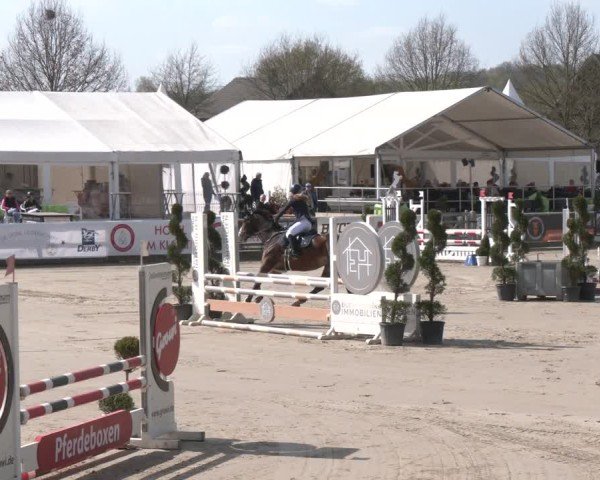Reitturnier Werne-Lenklar 2025