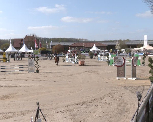 Reitturnier Werne-Lenklar 2025