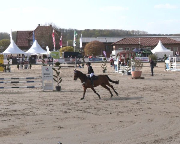 Lenklarer Reitertage Werne 2025