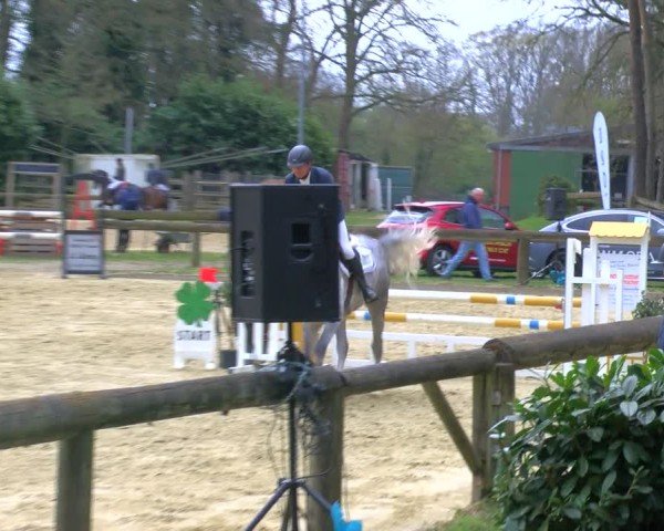 Reitturnier Rhede 2025