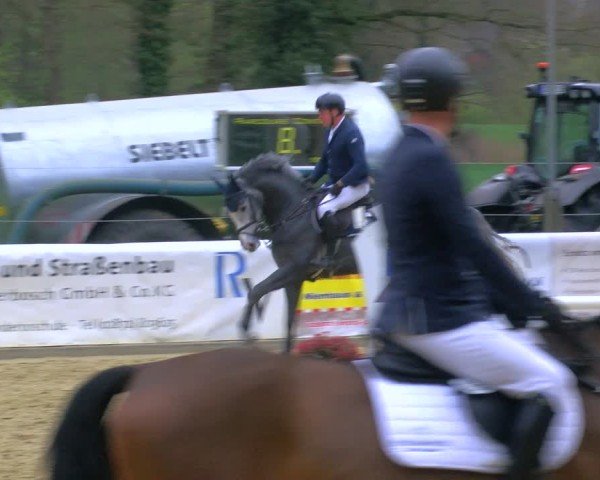 Reitturnier Rhede 2025