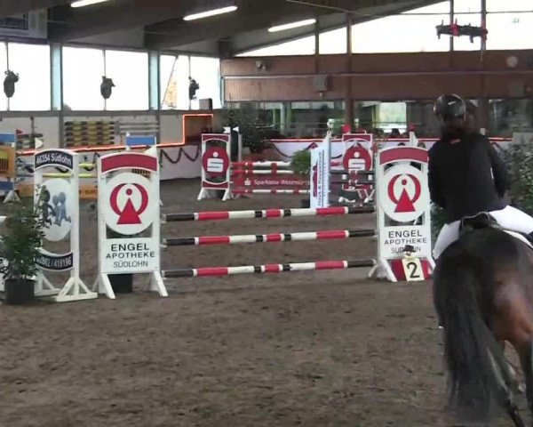 Hallen-Jugend-Springturnier Südlohn-Oeding 2013