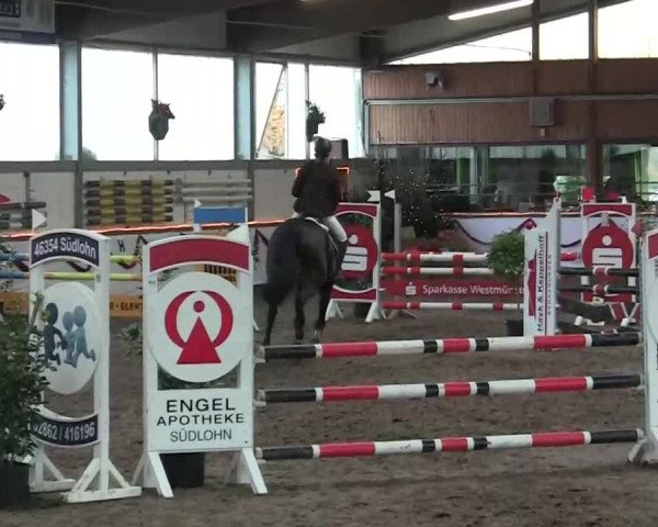 Hallen-Jugend-Springturnier Südlohn-Oeding 2013