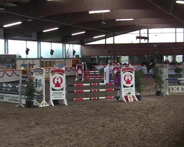 Hallen-Jugend-Springturnier Südlohn-Oeding 2013