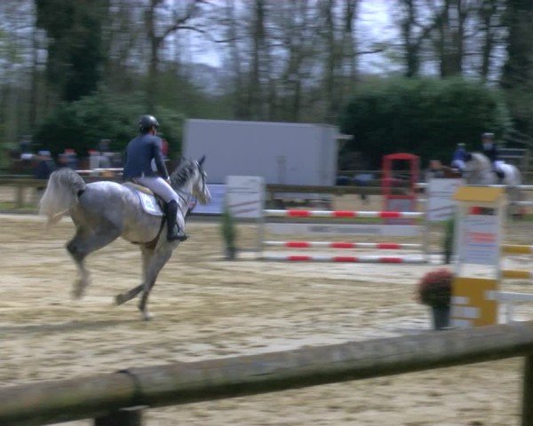 Reitturnier Rhede 2025