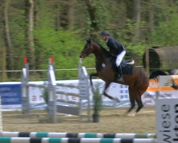 Reitturnier Rhede 2025