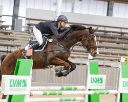 jumper Klarina H (Westphalian, 2016, from Kannan)