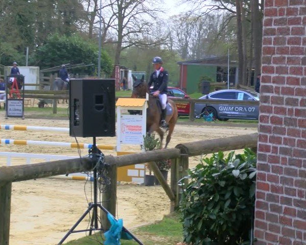 Reitturnier Rhede 2025