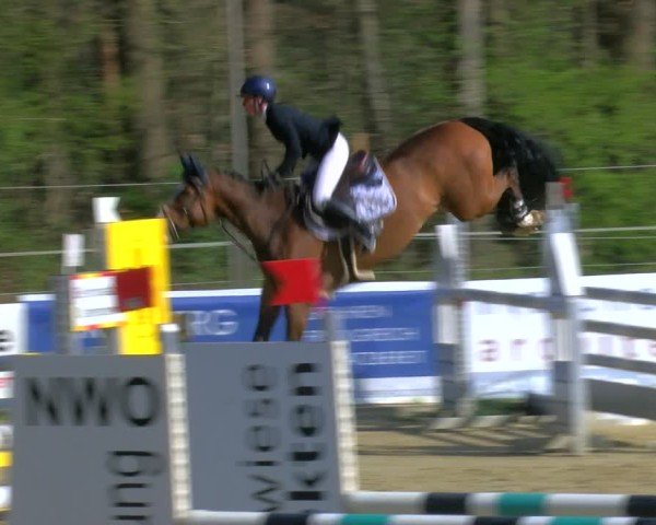 Reitturnier Rhede 2025