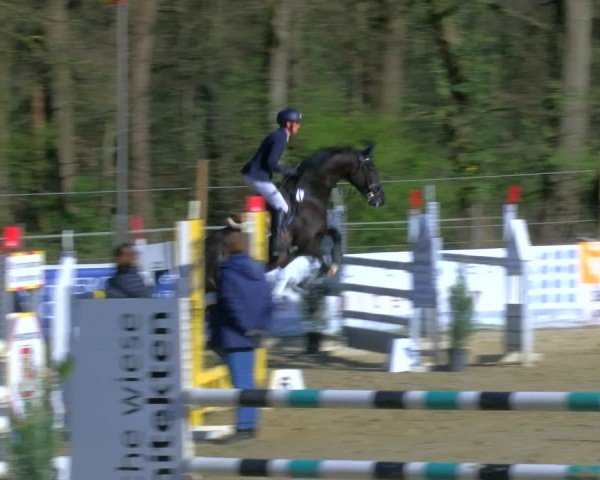 Reitturnier Rhede 2025
