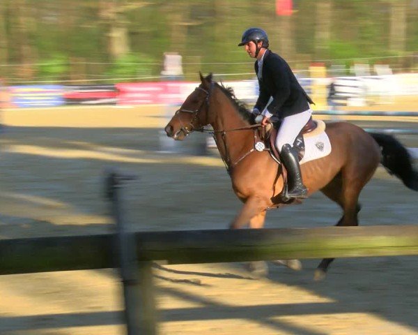 Reitturnier Rhede 2025