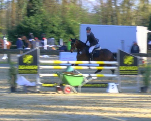 Reitturnier Rhede 2025
