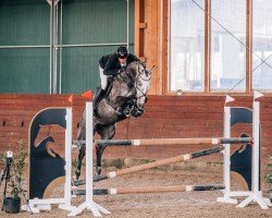 broodmare Unaja JE (Oldenburg show jumper, 2019, from Untouchable)