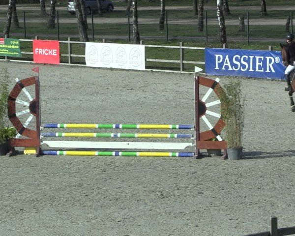 Reitturnier Westergellersen 2025