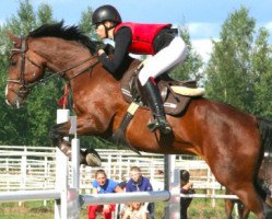 jumper Casino (Hanoverian, 2007, from Cassus 2)