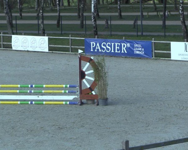 Reitturnier Westergellersen 2025