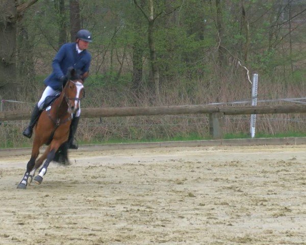 Reitturnier Rhede 2025