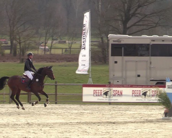 Reitturnier Westergellersen 2025