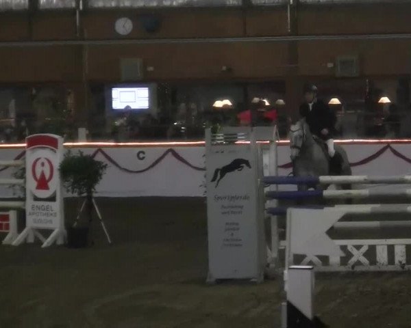 Hallen-Jugend-Springturnier Südlohn-Oeding 2013