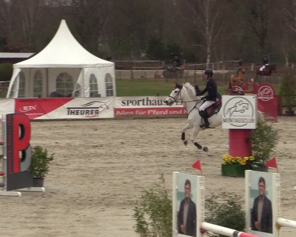 Reitturnier Westergellersen 2025