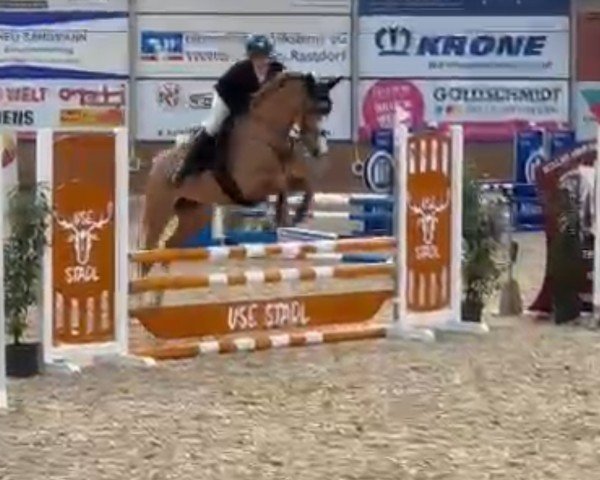 Springpferd Top Blondi (Deutsches Reitpony, 2020)