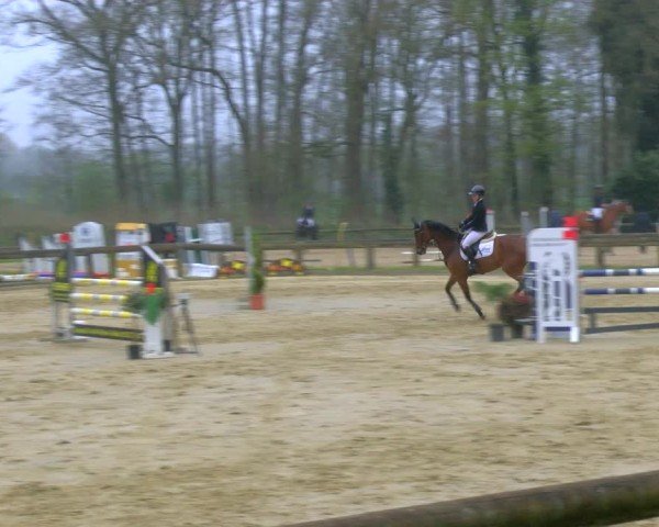 Reitturnier Rhede 2025
