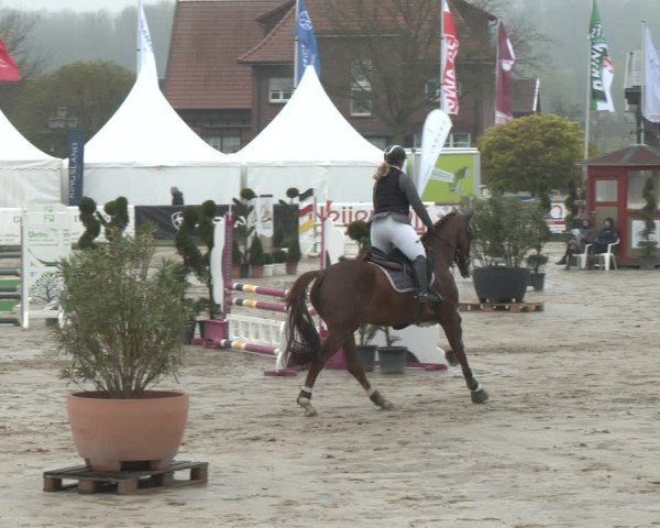 Lenklarer Reitertage Werne 2025