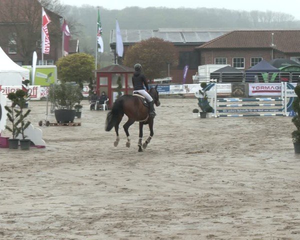 Lenklarer Reitertage Werne 2025