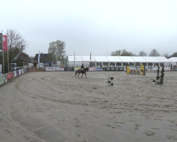 Lenklarer Reitertage Werne 2025