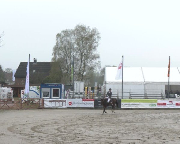 Lenklarer Reitertage Werne 2025
