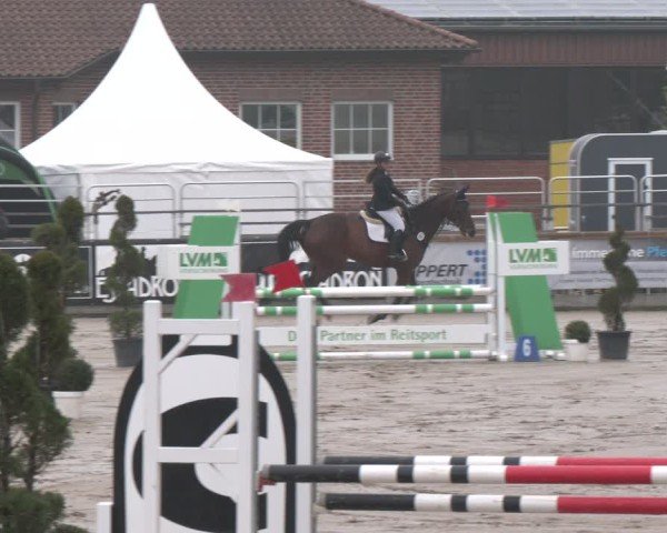 Lenklarer Reitertage Werne 2025