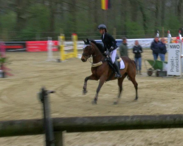 Reitturnier Rhede 2025