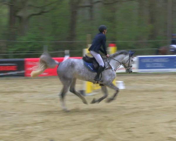 Reitturnier Rhede 2025