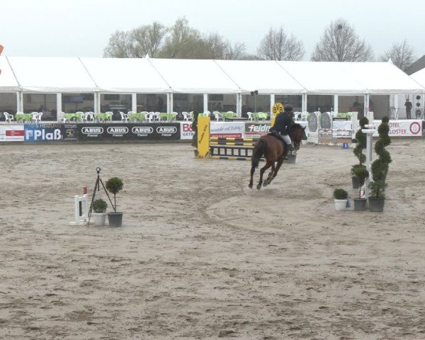 Reitturnier Werne-Lenklar 2025