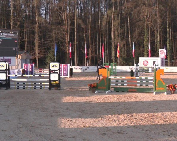 Reitturnier Ranshofen - Braunau am Inn 2025