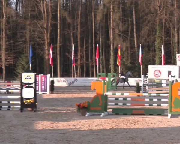 Reitturnier Ranshofen - Braunau am Inn 2025