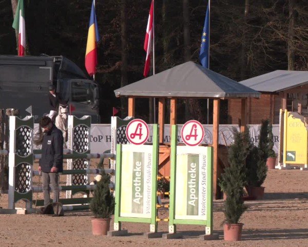 Reitturnier Ranshofen - Braunau am Inn 2025