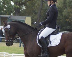 jumper Quidam de Lagune (Hanoverian, 2010, from Quality 9)