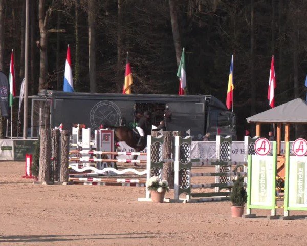 Reitturnier Ranshofen - Braunau am Inn 2025