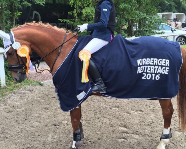 Dressurpferd Valderano (Deutsches Reitpony, 2003, von Voltaire)