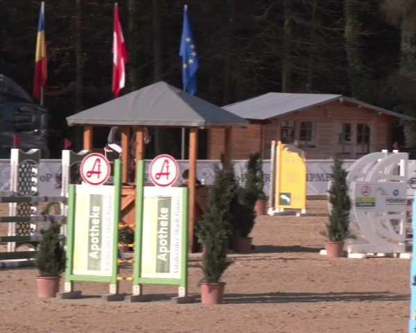 Reitturnier Ranshofen - Braunau am Inn 2025