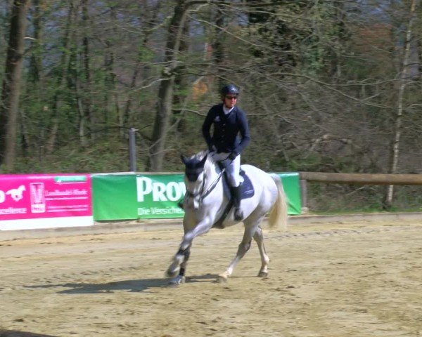 Reitturnier Rhede 2025