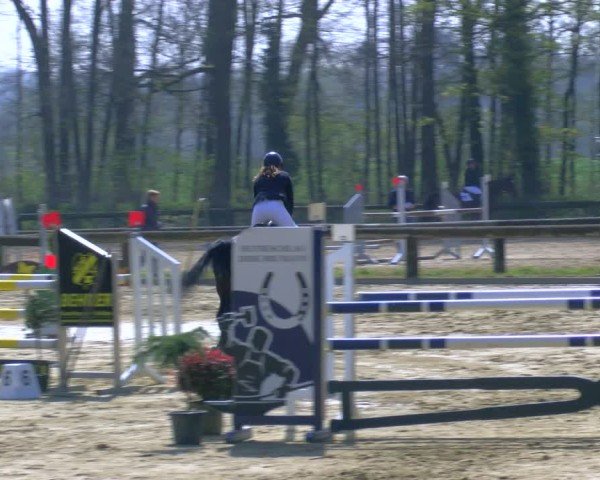 Reitturnier Rhede 2025