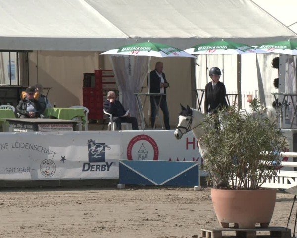 Lenklarer Reitertage Werne 2025