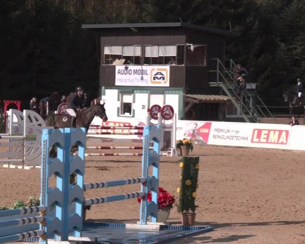 Reitturnier Ranshofen - Braunau am Inn 2025