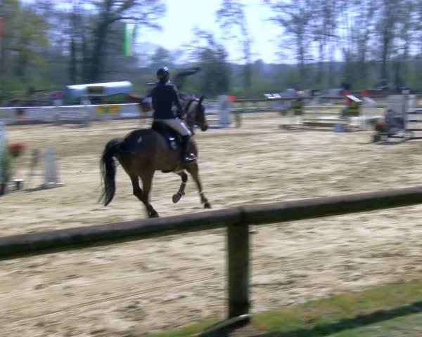 Reitturnier Rhede 2025
