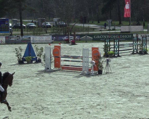 Reitturnier Westergellersen 2025