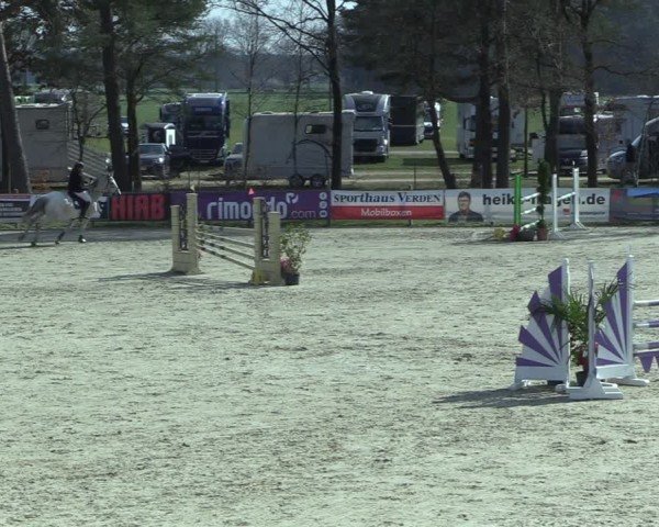 Reitturnier Westergellersen 2025