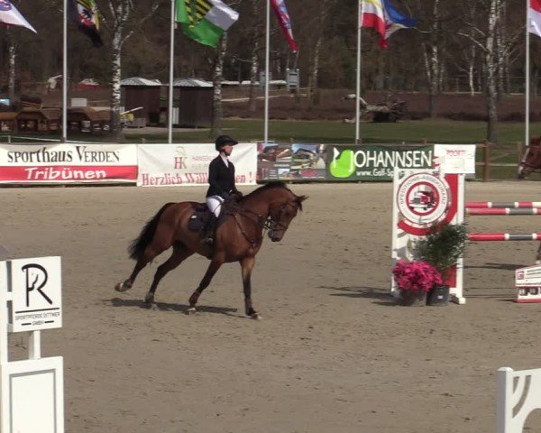 Reitturnier Westergellersen 2025