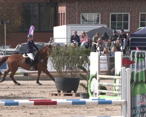 Reitturnier Werne-Lenklar 2025
